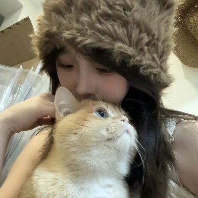 上流社会